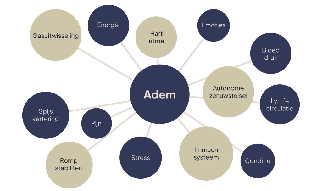Iedereen ademt, hoe je ademt maakt&nbsp;verschil!