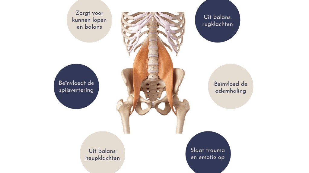 Psoas: Spier van de&nbsp;ziel